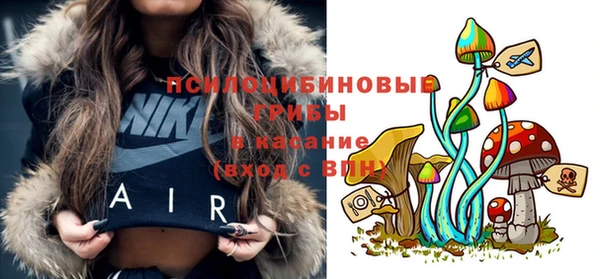индика Алексин