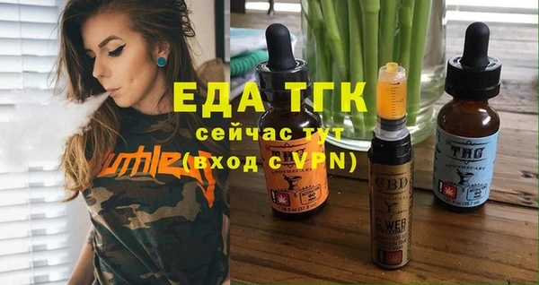 индика Алексин