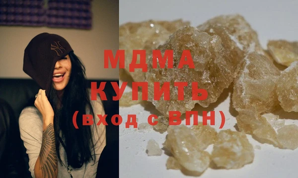 индика Алексин