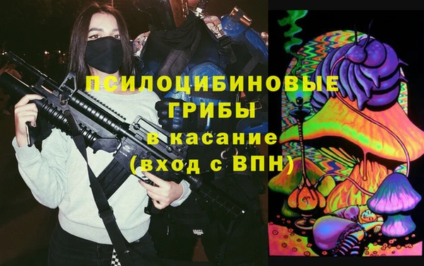 индика Алексин