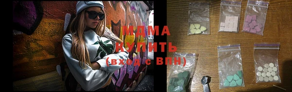 индика Алексин