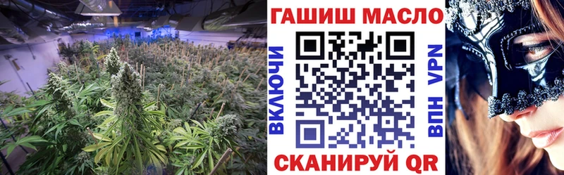 ТГК концентрат Бакал